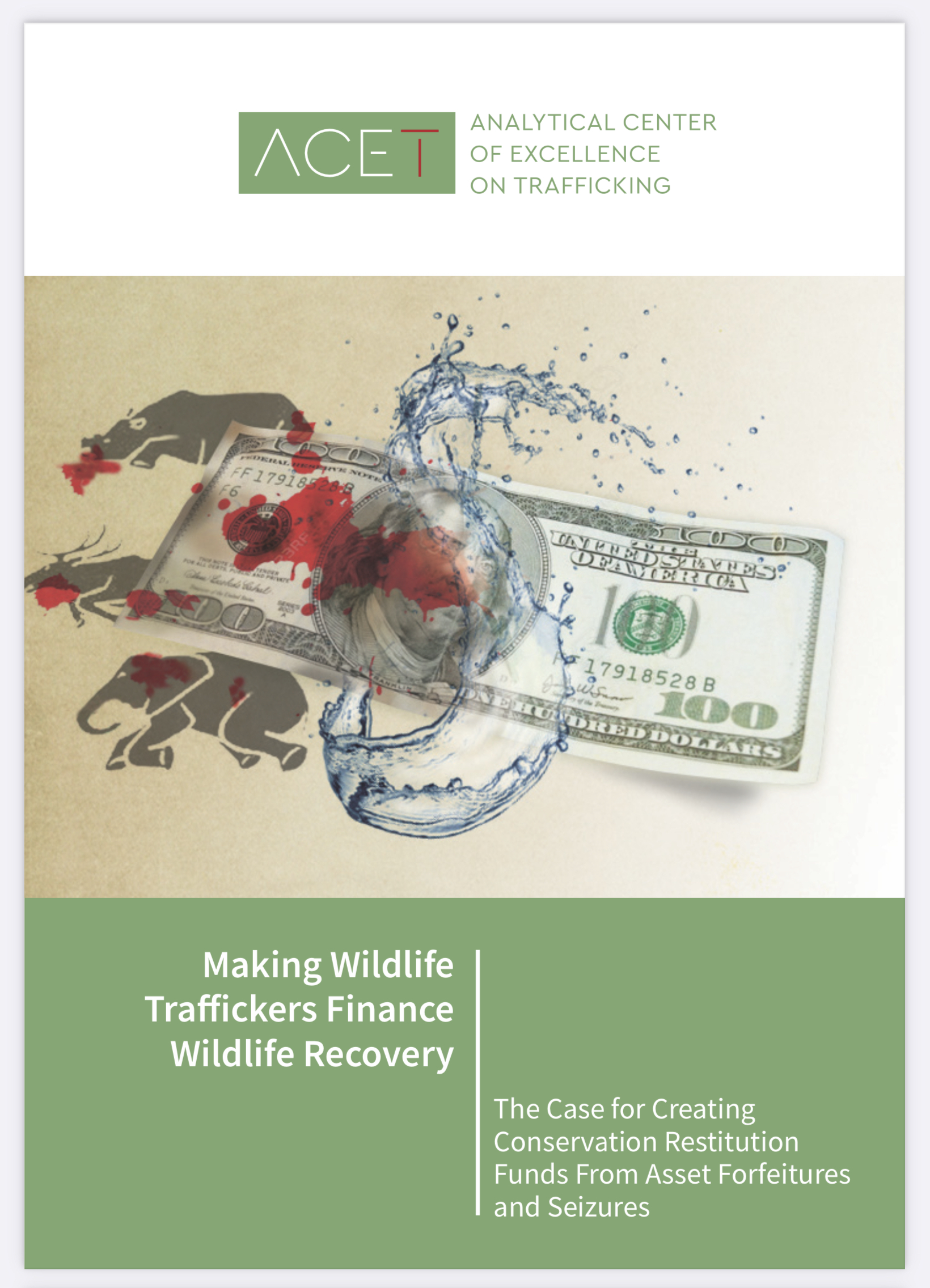 ACET Conservation Restitution cover image