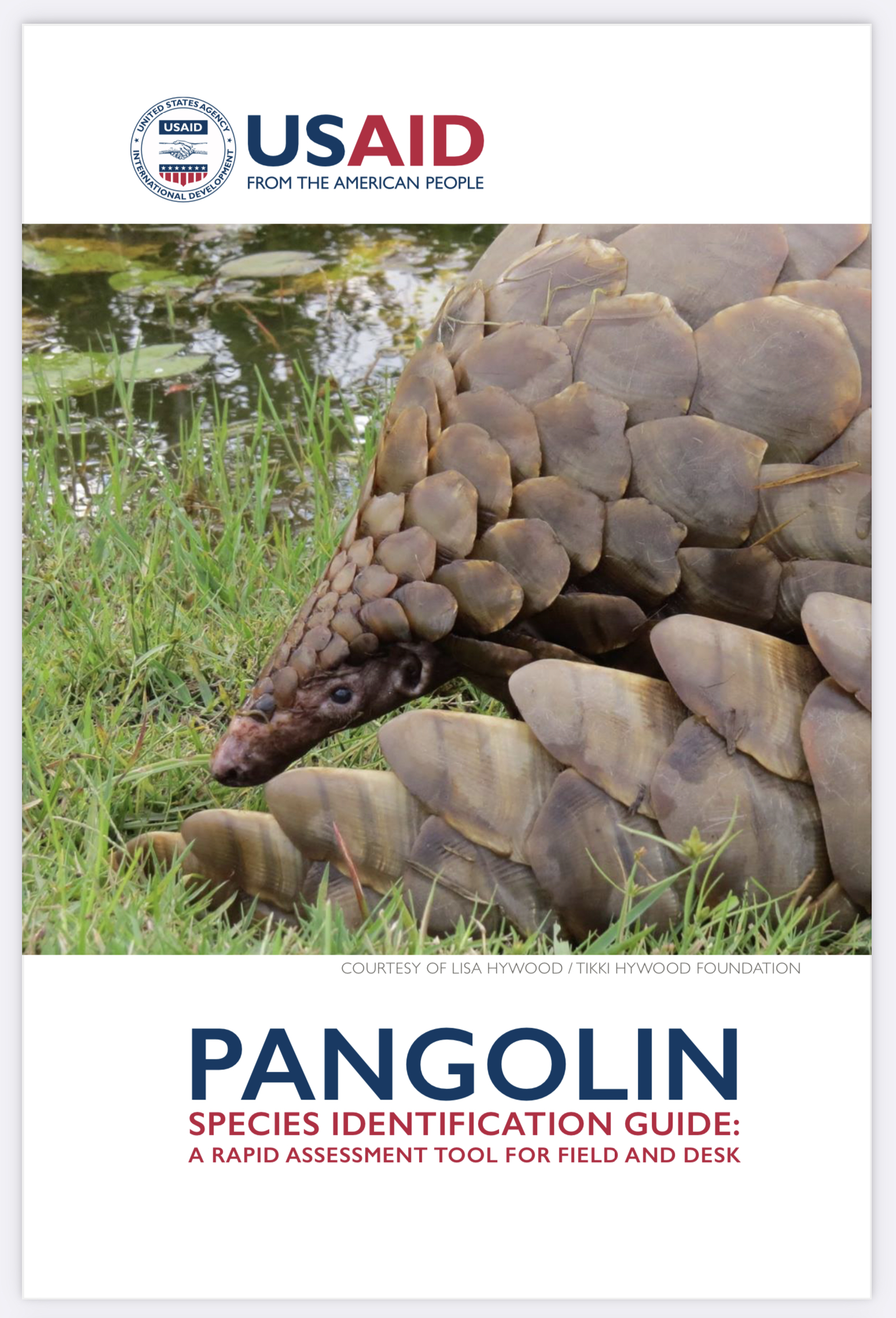 Pangolin Species ID Guide cover image